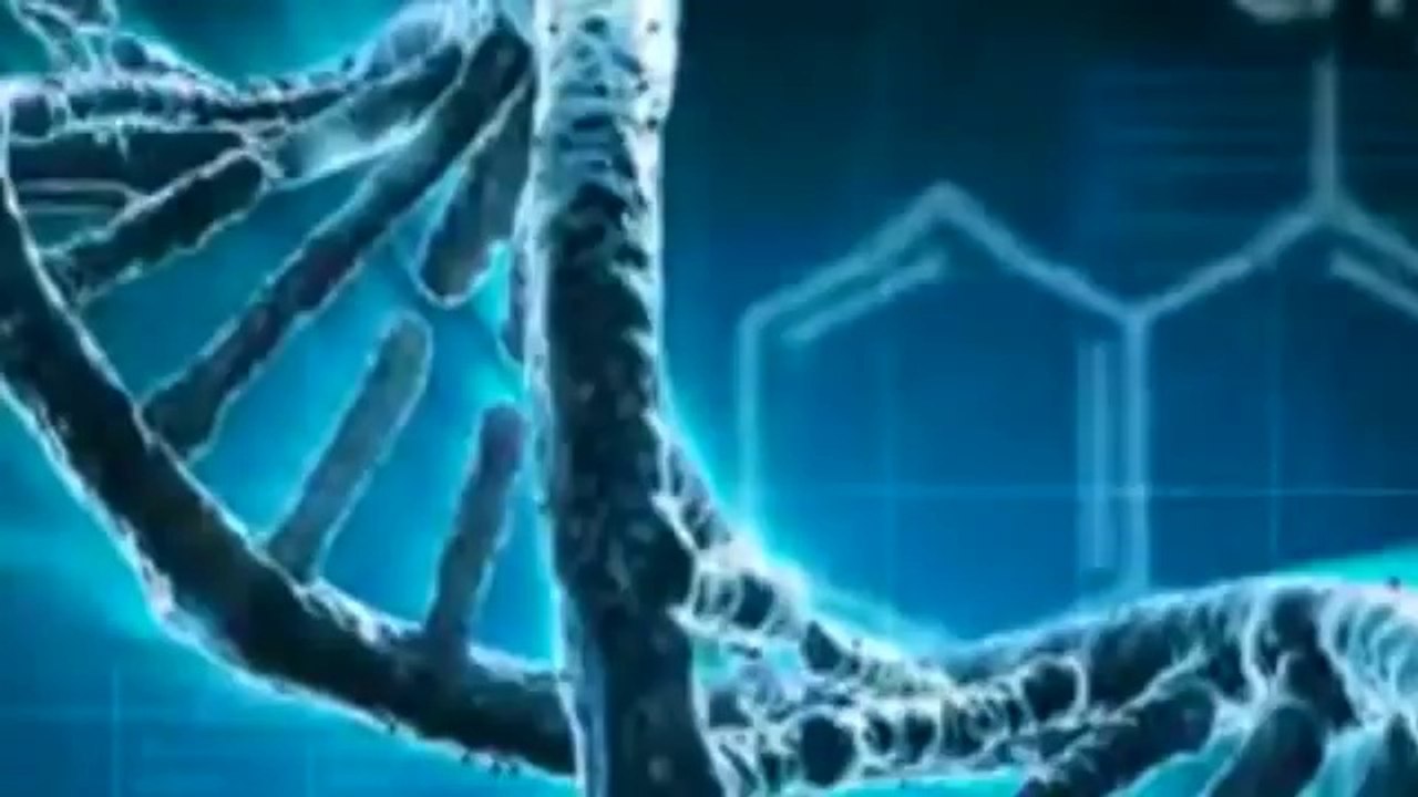 New Tribulation Book Reveals End Times Secrets As Prophesied - End Of The World Apocalypse Unveiled