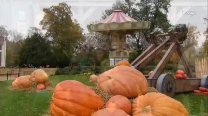 Affluence record dans les parcs d'attraction belges