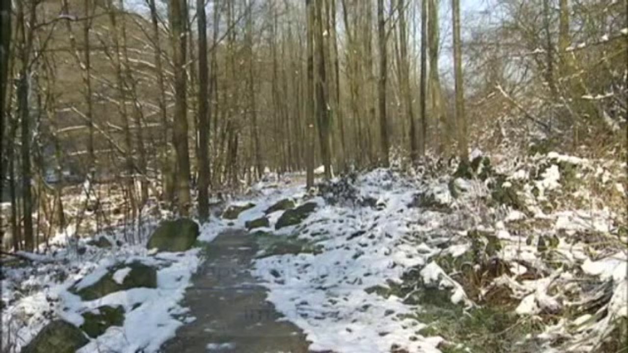 Une vague de froid s'abat sur la Belgique