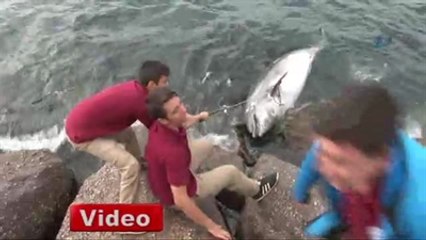 Liseliler Buldukları Yunus İçin Seferber Oldu