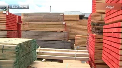 Le bois wallon doit se réorganiser