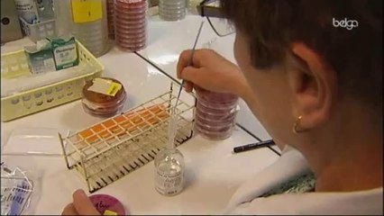 Des bactéries résistantes aux antibiotiques se développent en Belgique