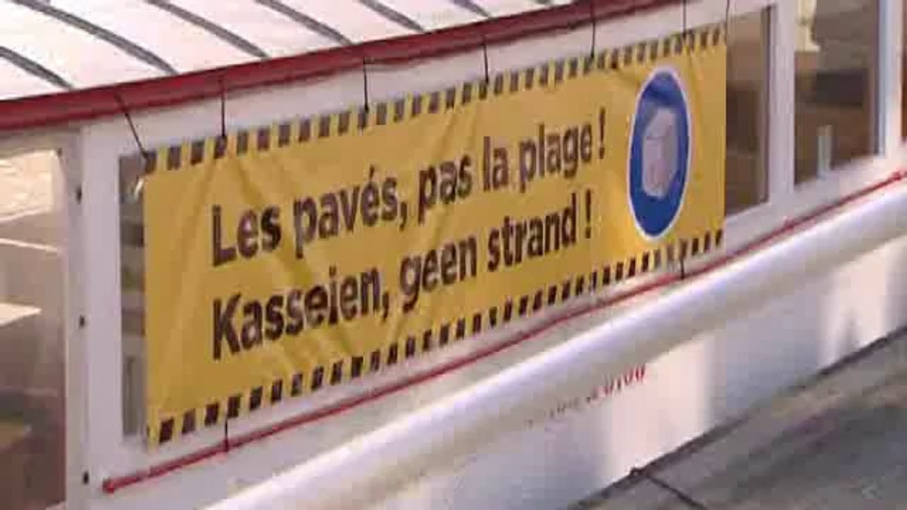 Avenue du Port : les platanes sont sauvés, quid des pavés?