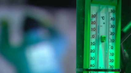 Les sculptures de glace envahissent la place des Palais