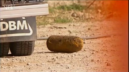 Aucun Belge parmi les victimes de l'explosion d'une grenade à Ypres