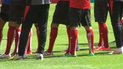 La ferveur autour des Diables Rouges "émeut" Georges Leekens