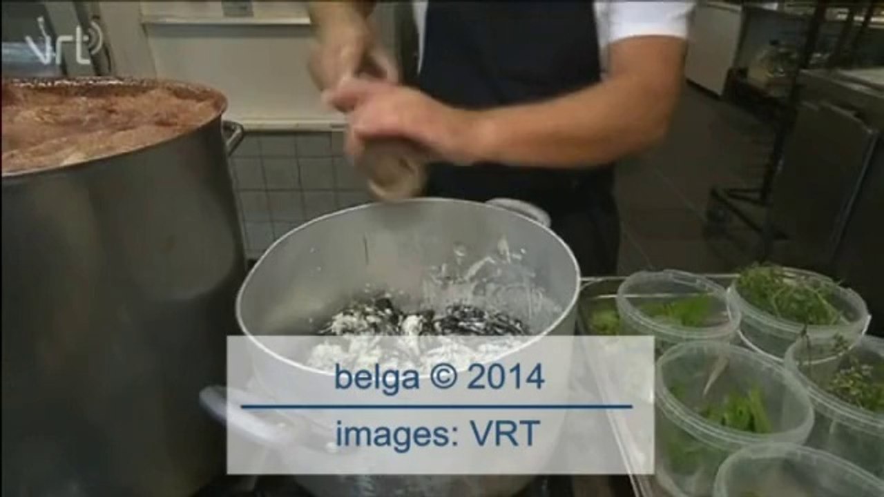 Les premières moules de Zélande sont arrivées!