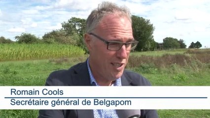 iPot, un nouvel outil pour un meilleur rendement des cultures de pommes de terre