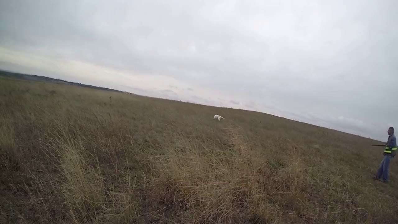 OMERO (KELBY) EĞİTİM ÇALIŞMASI