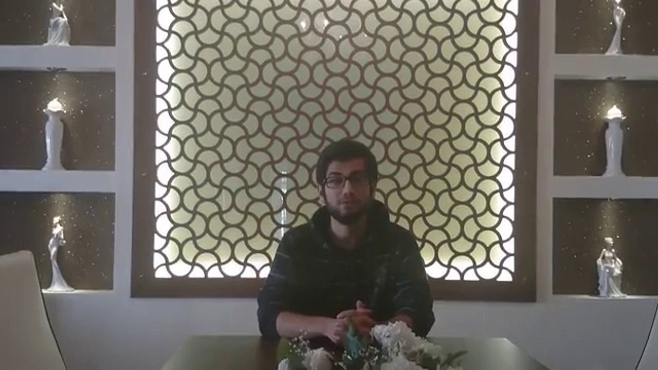 work and travel Video CV2