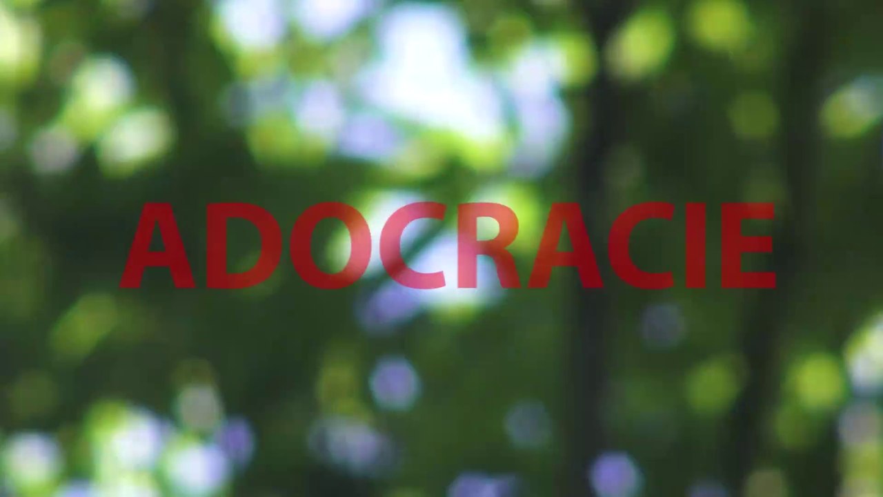 Adocratie