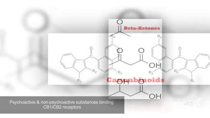Major Categories Of Research Chemicals