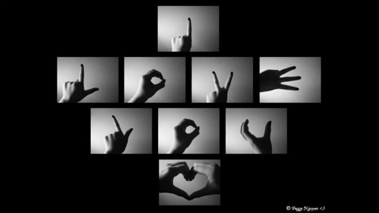 انت الجميل ديانا حداد وريهام سعيد سلطان الشيطان شاطر القلب الميت قبيحة والأسد برعايه كريم حريقه