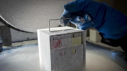 US tech firms to pay for deferred pregnancies