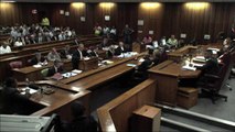 Pistorius sentence must 'fit crime', says Steenkamp cousin