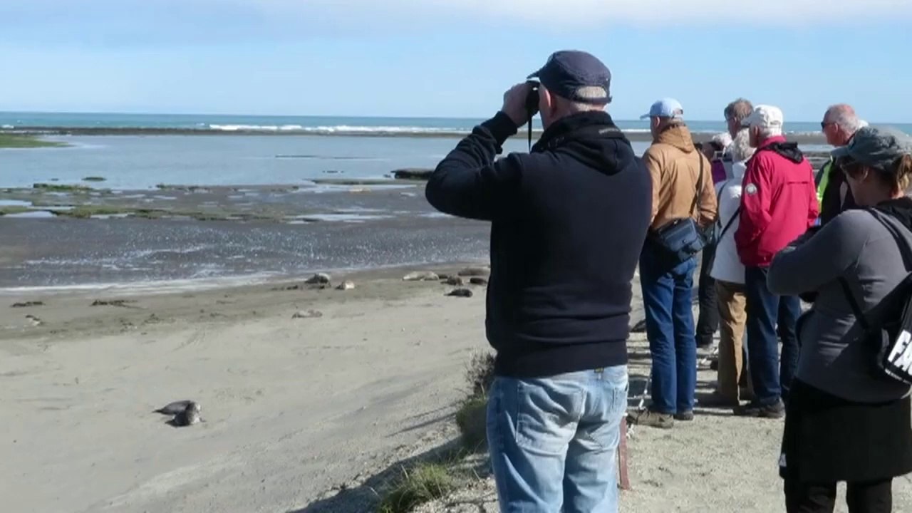 Blutiger Kampf der Giganten