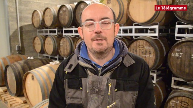 Pays de Vannes. Le cidre dans tous ses états. La Distillerie du Gorvello