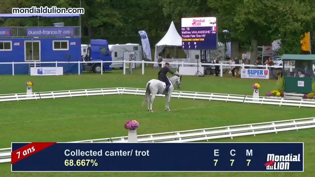 Mondial du Lion - 2014 (REPLAY) Matthieu VANLANDEGHEM (FRA) et Trouble Fete *ENE HN