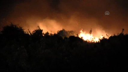 Didim'de Makilik Alanda Yangın