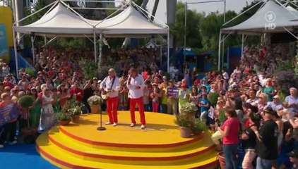 Die Amigos-Sommerträume