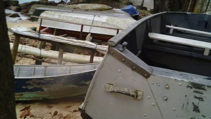 Polvo gigante, Praias, Mares, Apneia, Natureza Marinha, Ubatuba, SP, Brasil, Marcelo Ambrogi, (68)