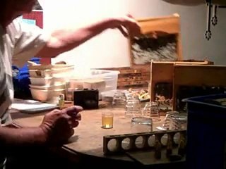 Kraliçe arının bala sokulması