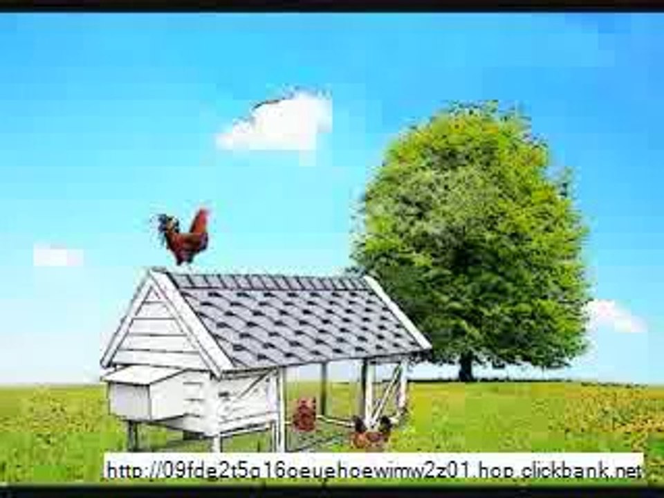 Building a chicken coop - DIY tutorial