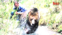 Wrestling A Grizzly Bear In My Garden