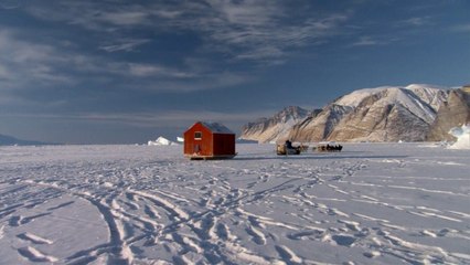 Planeta ludzi. Arktyka życie pośród lodu.