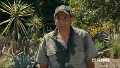 PRIME - The Kids are all right