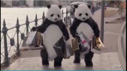 Bizarre Chinese Panda Ad Reminds Tourists How To Behave Down Under