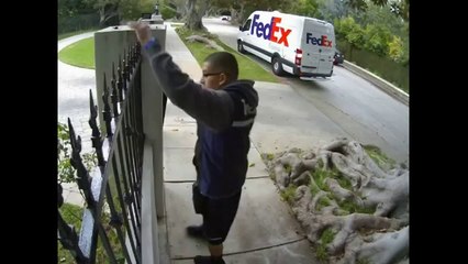 Livraison express selon Fedex