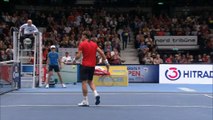 Viena - David Ferrer pasa a cuartos de final