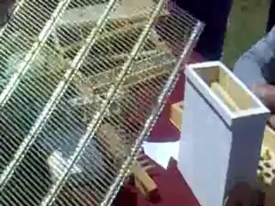 Erfelek arıcılık eğitimi 3