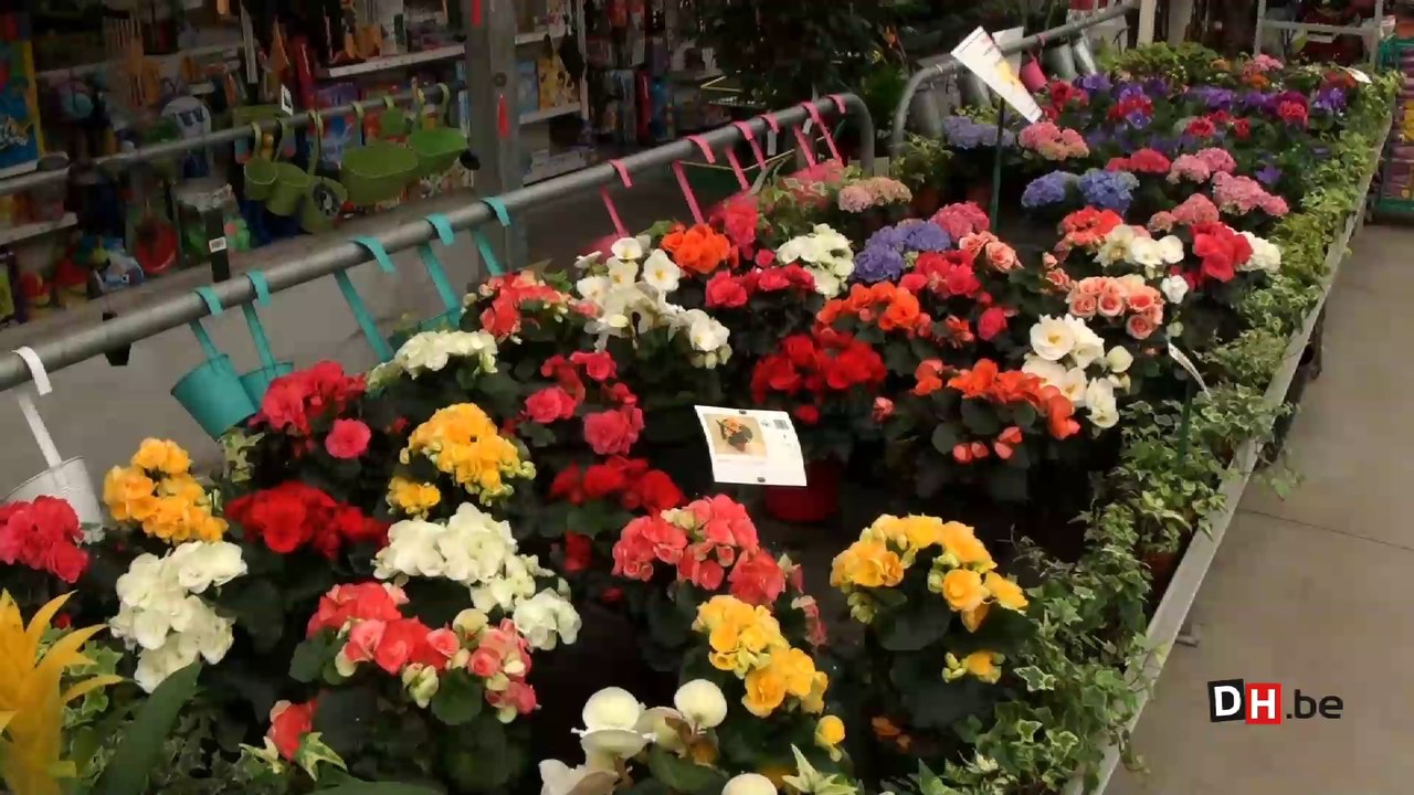 Printemps: les conseils jardin