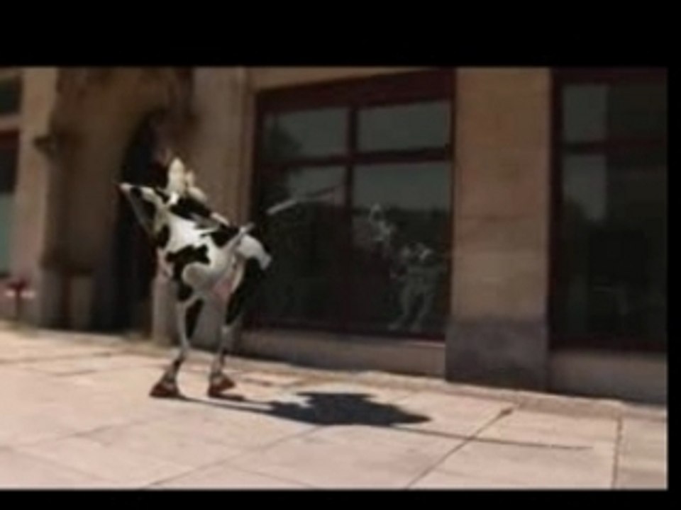 CrazyCow-ILikeToMuh