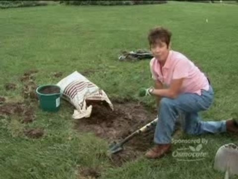 Gardening Tip Preparing Beds for Flowers