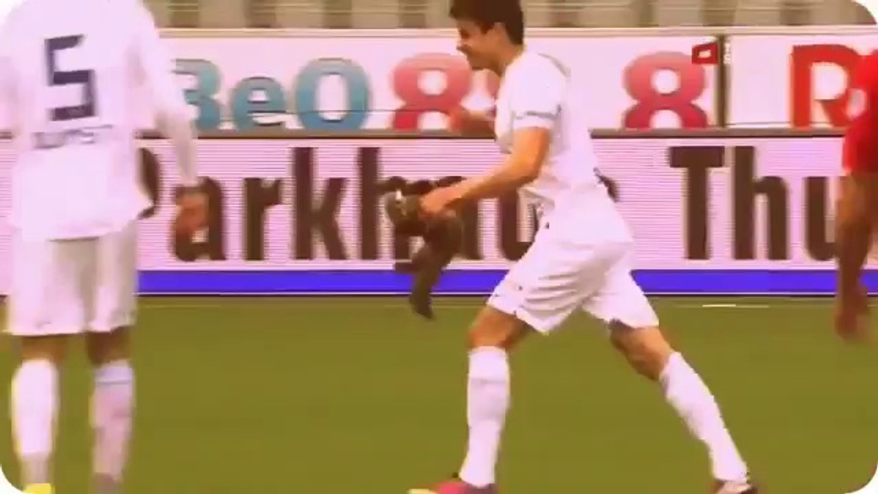 Un drôle d'invité surprise perturbe un match en Suisse