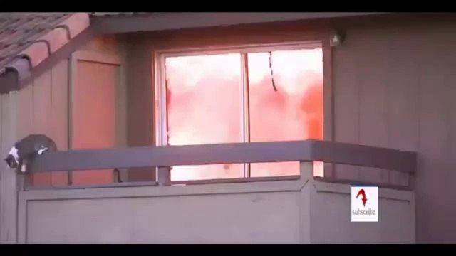 un chat retombe toujours sur ses pattes