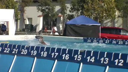 Vhoebe, le chien qui saute le plus loin au monde