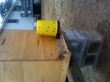 kovan önünde arıların şerbet yemesi