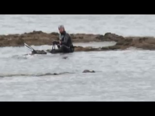 Un chien et son maitre poursuivis par des orques