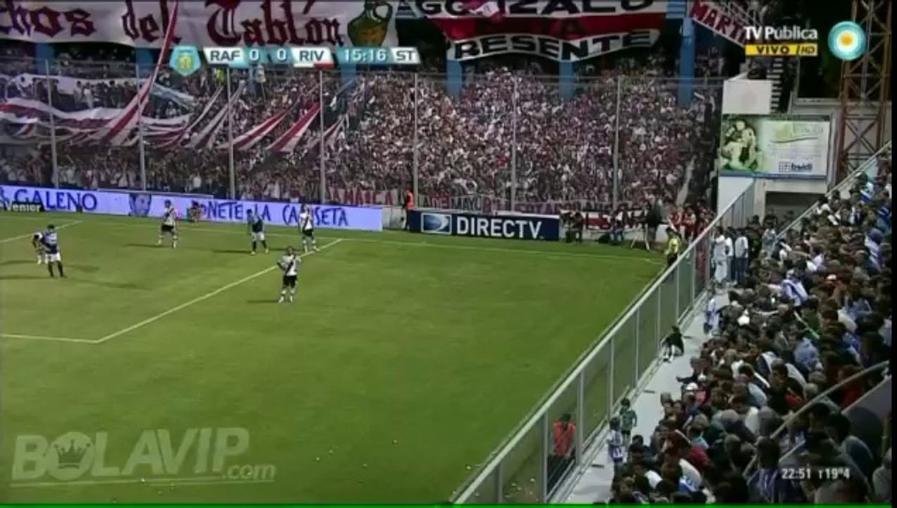 Un chien envahit le terrain en plein match