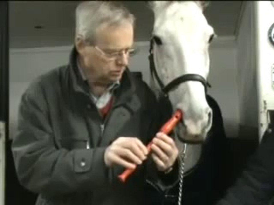 Un cheval joue de la flûte