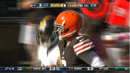 Brian Hoyer highlights