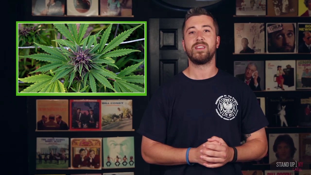 The Autistic Sting and The Atmos Raw Vaporizer Pen