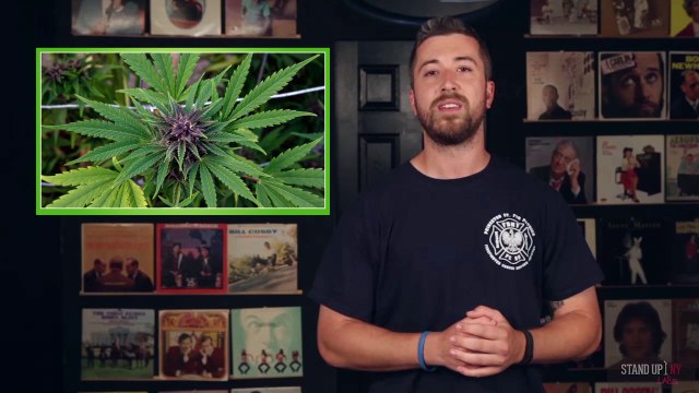 The Autistic Sting and The Atmos Raw Vaporizer Pen