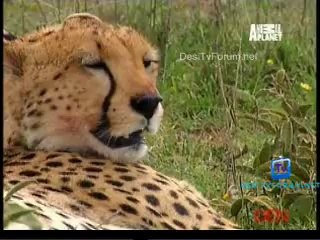 Be The Creature 16th October 2014 Video Watch Online pt3
