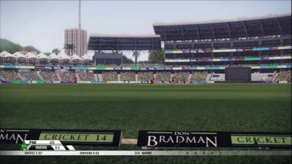 HUGE Six By Muhammad Hafeez In "DON BRADMAN CRICKET 14"
