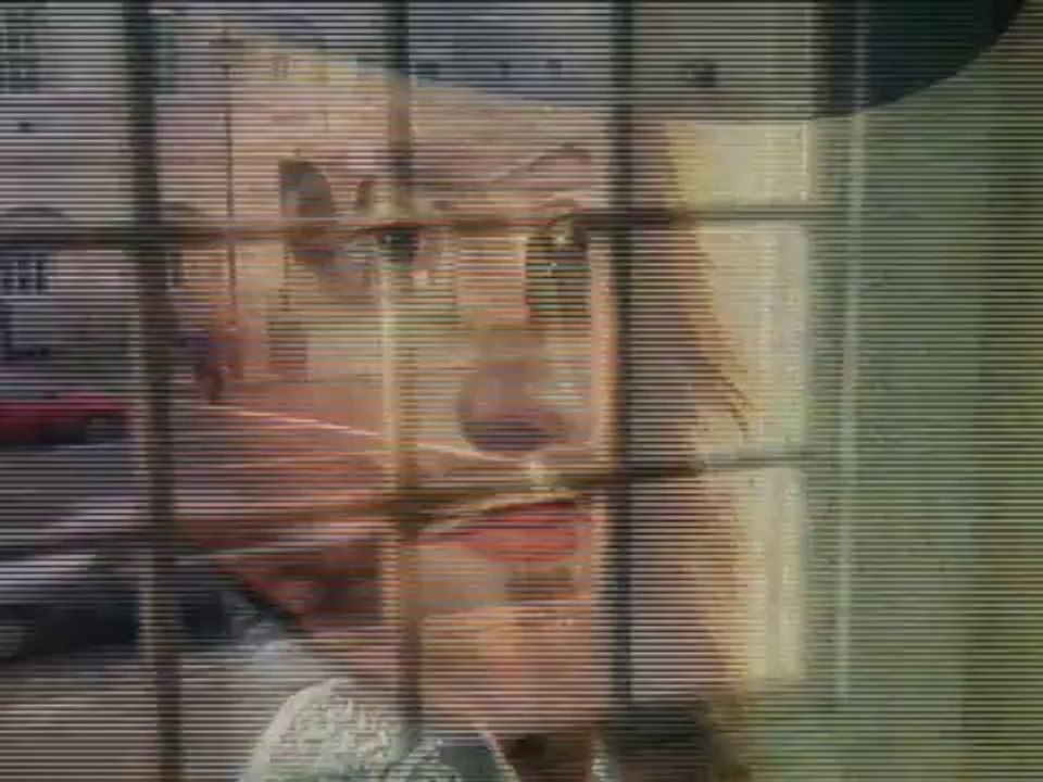 8- Decision to Execute